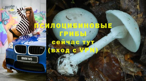 MESCALINE Белокуриха